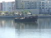 AU_2010-05-09_033.JPG